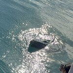 Photo taken by Adam K