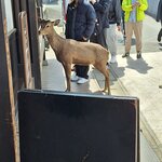 Photo taken by Arlan W