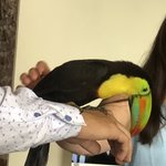 Photo taken by Juliette S