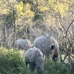 Photo taken by rhonda c