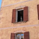 Photo taken by Susan S