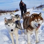 Husky sled ride | Photo taken by Ricther T