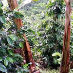 Photo taken by Michael T