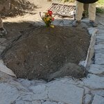 Photo taken by Bree J