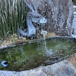 Photo taken by Daniel D