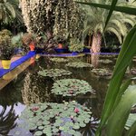 Majorelle garden  | Photo taken by Filipinas C