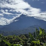 Photo taken by Edit M