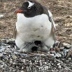 Photo taken by Raghu V