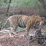 Photo taken by carole c