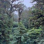 Photo taken by Mandy F