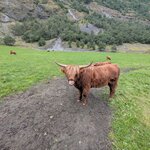 Photo taken by Mitzi F