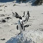 Photo taken by Crystall P