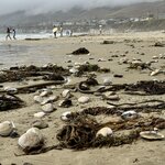 Photo taken by Silvain B