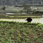 Photo taken by Brit E