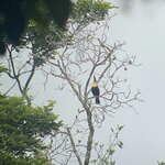 Photo taken by Chakrapani S