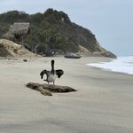 Photo taken by Ross V