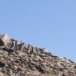 Photo taken by Denisse G