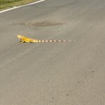 Photo taken by Don M