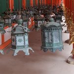 Lanterns | Photo taken by peter e