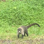 Photo taken by Karen P