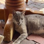 Photo taken by Hannah S