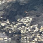 Photo taken by Gary W