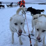 Photo taken by Genevieve R