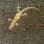 Photo taken by Carrie N