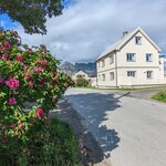 Photo taken by Dani L