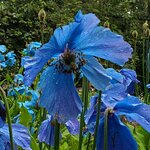 Photo taken by Eliza M