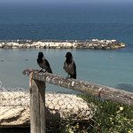 Tel Aviv | Photo taken by Margaret K