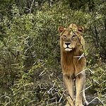 Photo taken by Peter L