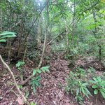 Photo taken by Darla D