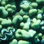 Photo taken by Chris M