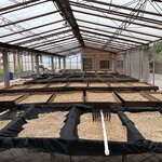 Photo taken by Tricia E