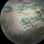 Photo taken by Mark A