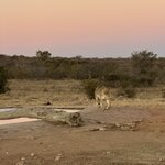 Photo taken by Ingenie D