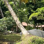 Photo taken by Cassio S