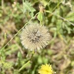 Photo taken by Erin J