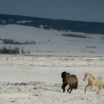 Photo taken by Dilip C