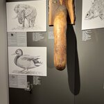 Photo taken by Sandra D