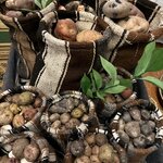 Photo taken by Anisha L