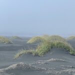 Photo taken by Nan K