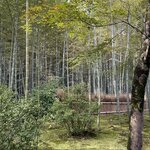 Photo taken by Jennifer G