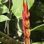 Photo taken by Ora Y