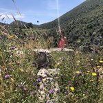 Photo taken by Shawn G