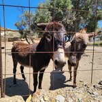 Photo taken by Sharon K