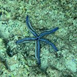 Photo taken by Lisa P