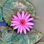 Photo taken by Jill S