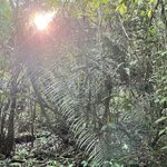 Photo taken by Sarah C